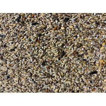 Miscela di semi per cardellini "Light 255" - 1kg - Hoebregts