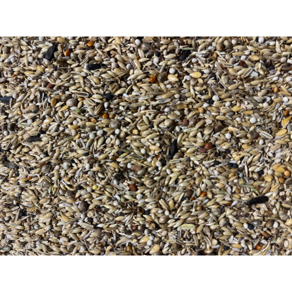 Seed mix for goldfinches "Light 255" 1kg - Hoebregts