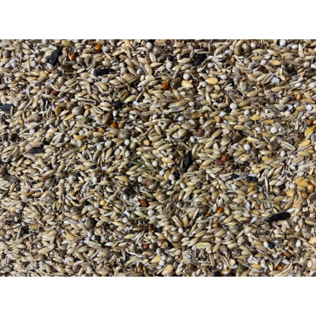 Seed mix for goldfinches "Light 255" 1kg - Hoebregts