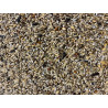 Seed mix for goldfinches "Light 255" 1kg - Hoebregts