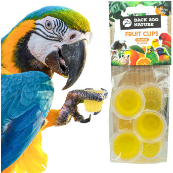 Orange fruit jelly - Fruit cup - (6 pots) - Back Zoo Nature