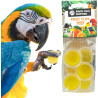 Orange fruit jelly - Fruit cup - (6 pots) - Back Zoo Nature Orange fruit jelly - Fruit cup - (6 pots) - Back Zoo Nature
