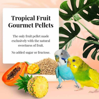 Tropical Fruit gourmet pellets perruche 567g