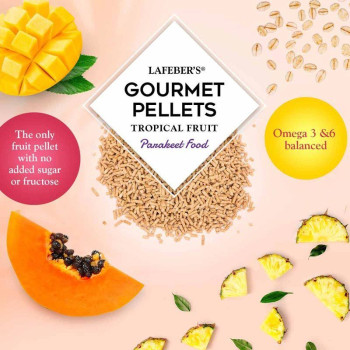 Tropical Fruit gourmet pellets perruche 567g