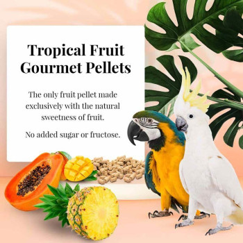 Tropical Fruit gourmet pellets Ara 567g