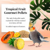 Tropical Fruit gourmet pellets Grande perruche 567g