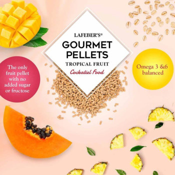 Tropical Fruit gourmet pellets Grande perruche 567g