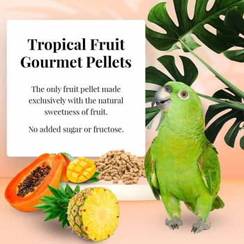 Tropical Fruit gourmet pellets Perroquet 567g