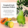 Tropical Fruit gourmet pellets Perroquet 567g