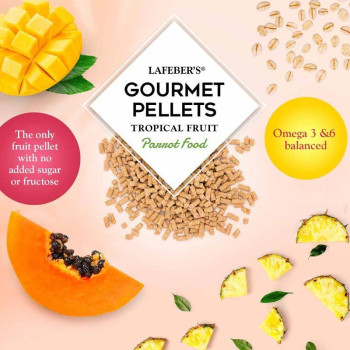 Tropische fruit gourmetkorrels Papegaai 567g