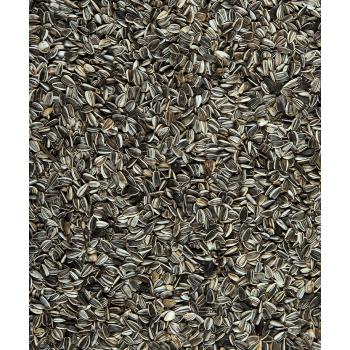copy of Ridged sunflower 12.5 kg