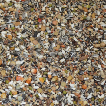 Premium Molting Mix Power 20kg - No.186 - Molting Mix for Pigeons - Vanrobaeys