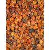 Eberesche 20 kg Eberesche 20 kg