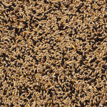 Canaries Breeding with Perilla White 20kg - No. 54 - Deli-nature (Beyers)