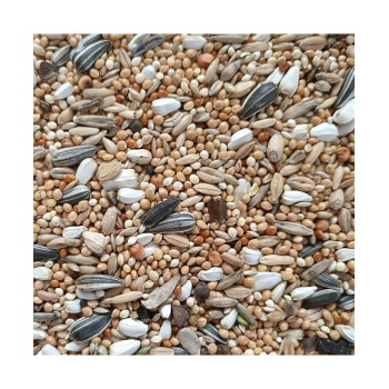 Miscela grande parrocchetto 1 - 20kg - Hoebregts