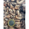 Frozen shrimp 15kg - Garfft Frozen shrimp 15kg - Garfft