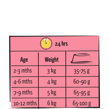 Lara Junior Care avec poulet 950g