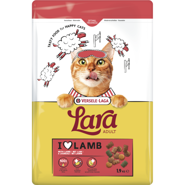 Lara adulto com cordeiro 1,9kg