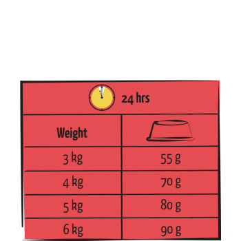 Lara adult with lamb 7kg