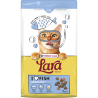 Lara adult au saumon 7kg