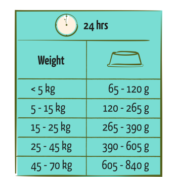 Adult Lachs 12,5kg - Happy Life