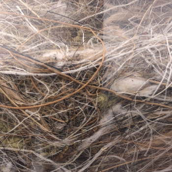 Pelo de animal-vegetales-musgo 500gr - Fibra de Sisal