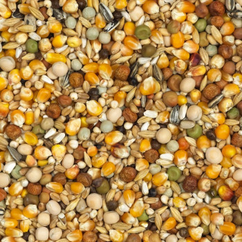 Súper especial Muda 20kg - N°13 - Mezcla para la muda de palomas - Vanrobaeys