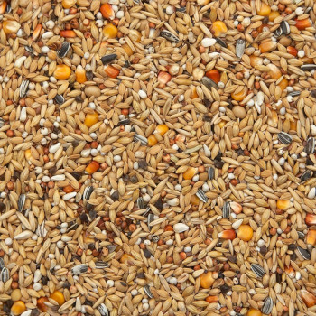 Rest/Winter 20kg - No.16 - Winter mix for pigeons - Vanrobaeys