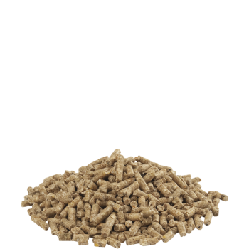 Gold 4 Gallico pellet 5kg - Legkorrels