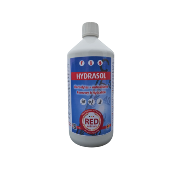 Hydrasol 1L - Elektrolyte + Antioxidantien