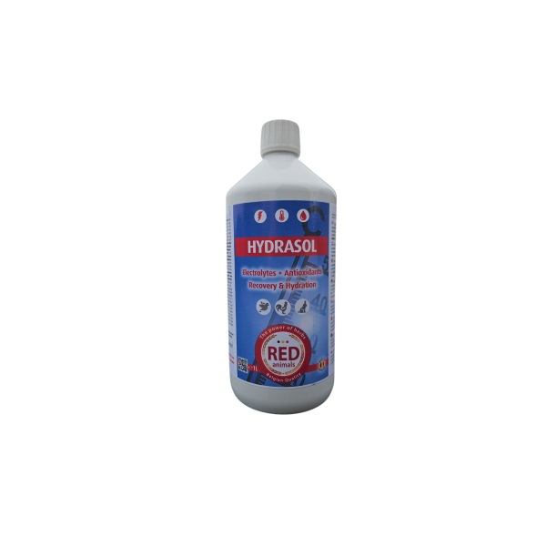Hydrasol 1L - Elektrolyte + Antioxidantien