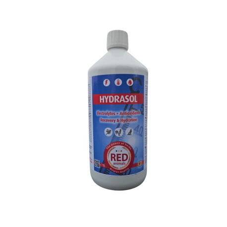 Hydrasol 1L - Elektrolyte + Antioxidantien