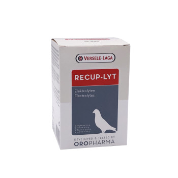 RECUP-LYT 240gr