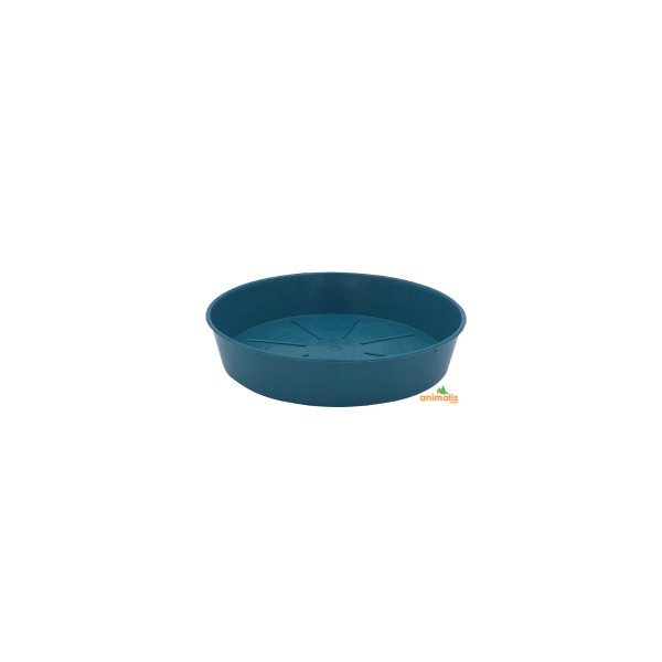 Bath/Feeder 16 cm