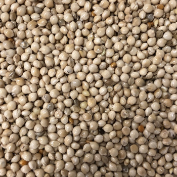 Germix exotique 4kg