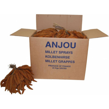 Millet rouge en grappe 1 kg