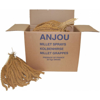 Millet jaune en grappe 1kg - Français