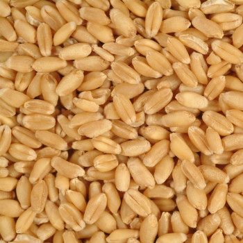 Extra wheat 1kg