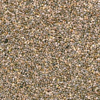 Japanese Millet 1kg