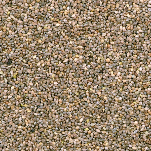 Millet Japonais 1kg - Vrac