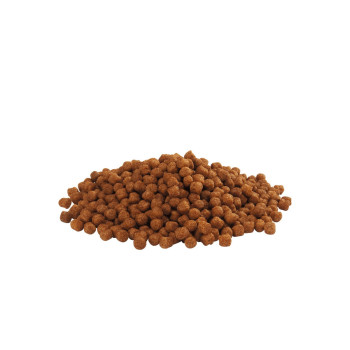 Drijvende Flamingo 15kg