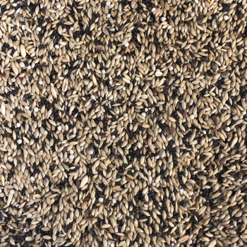 Canaris Super Animalis 1kg - Bulk