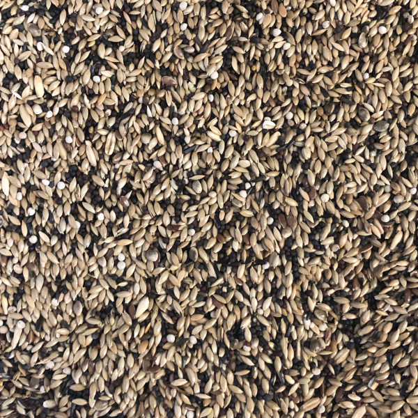 Canaries Super Animalis 1kg - Bulk