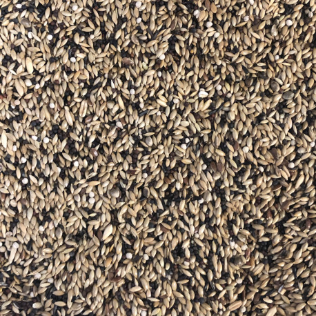 Canaris Super Animalis 1kg - Bulk Canaris Super Animalis 1kg - Bulk