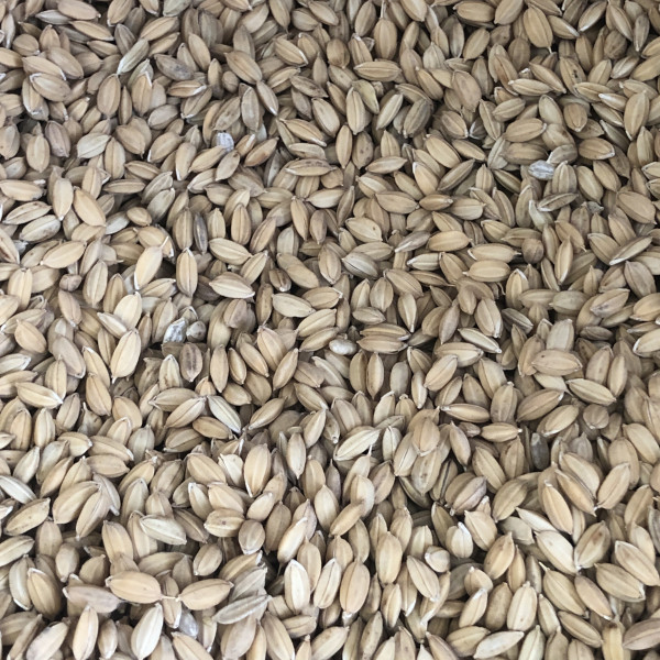 Padie 1kg