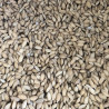 Riz paddy 1kg - Vrac Riz paddy 1kg - Vrac