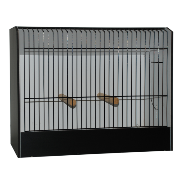 Large parakeet exhibition cage