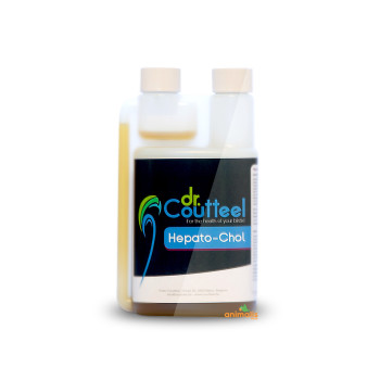 Hepato-Chol 500 ml