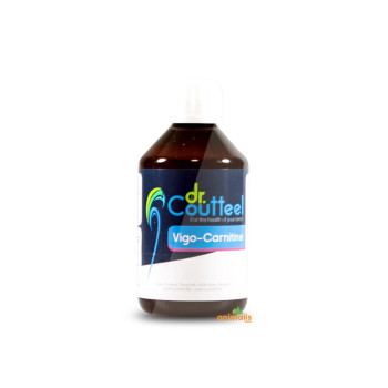 Vigo-Carnitine 250 ml