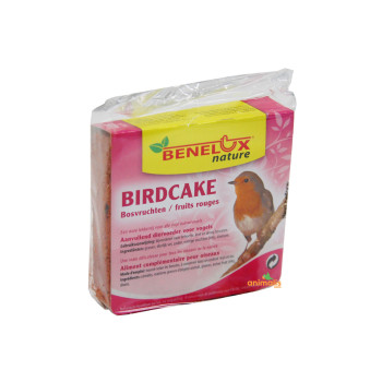 Birdcake aux fruits rouges...